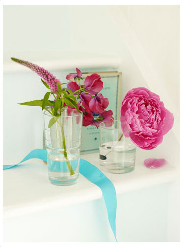 Paeony