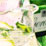 gordons gin