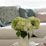 Pastel Lounge