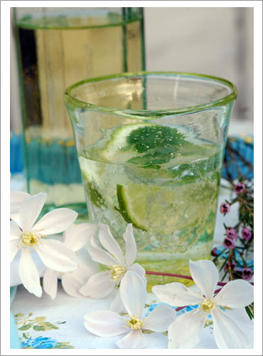 Lemon and Lime